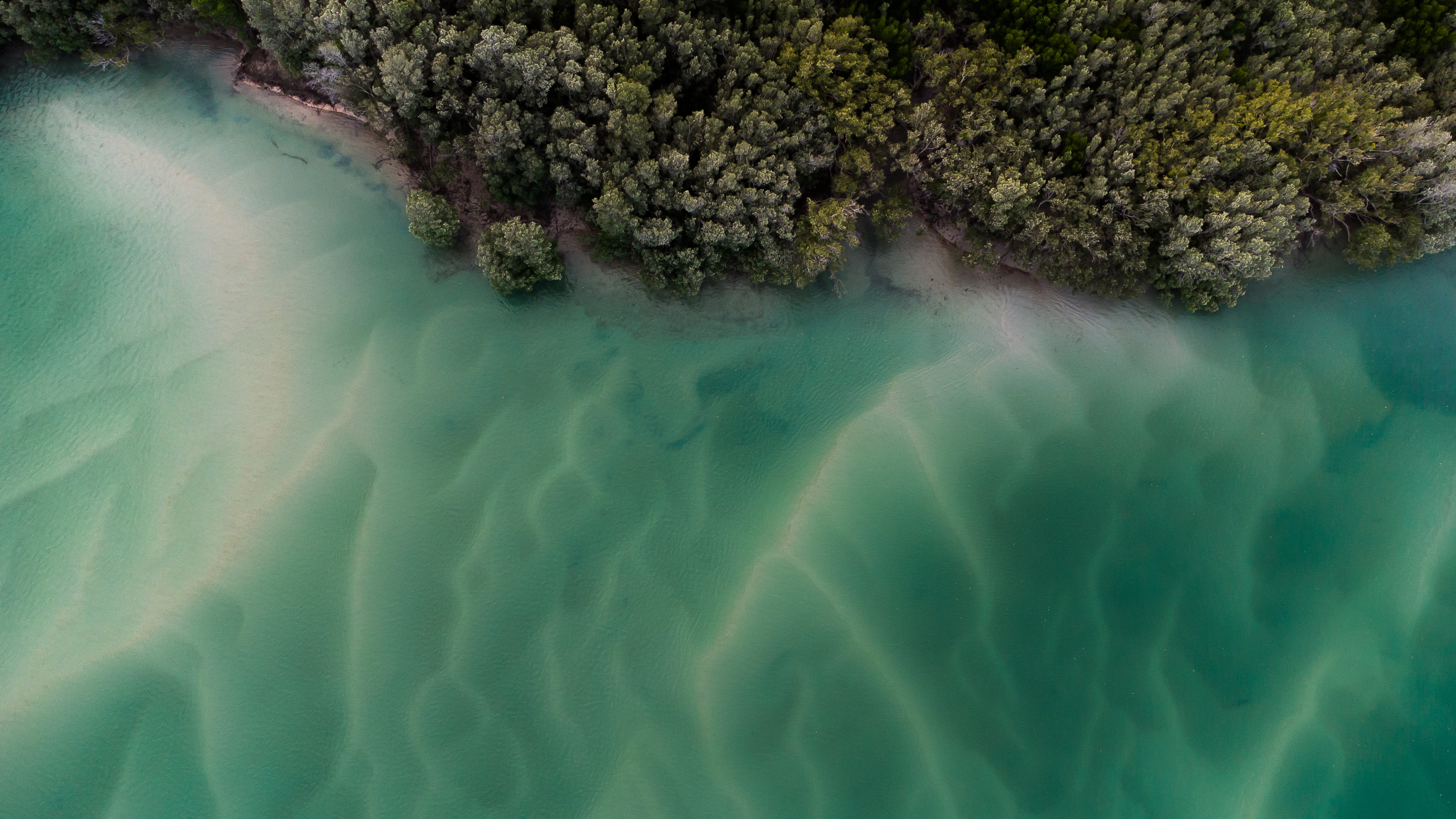 Drone photo of Port Smith Lagoon mangroves | Broome tides | Broome camping spots | Mangroves Broome